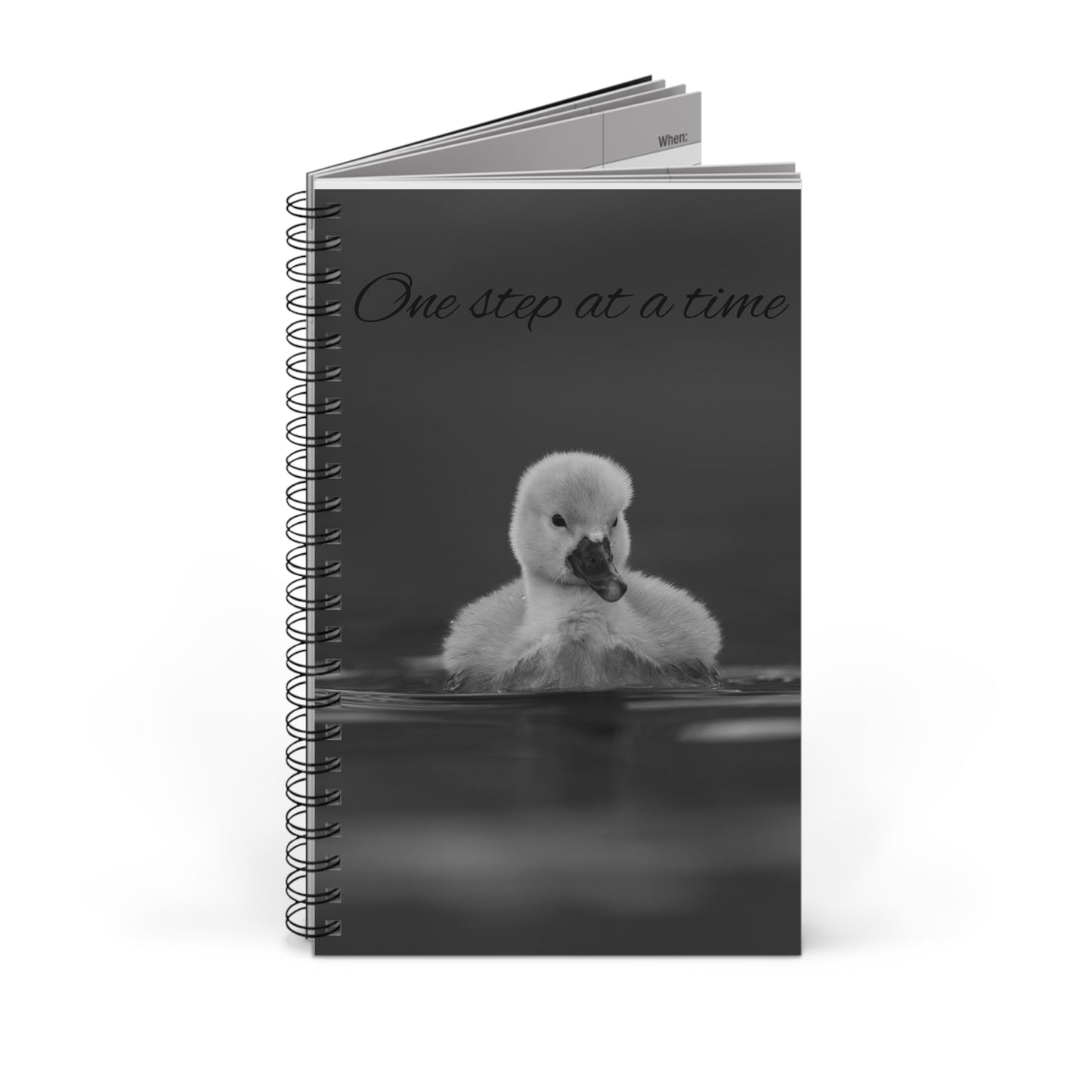 Spiral Journal (EU)