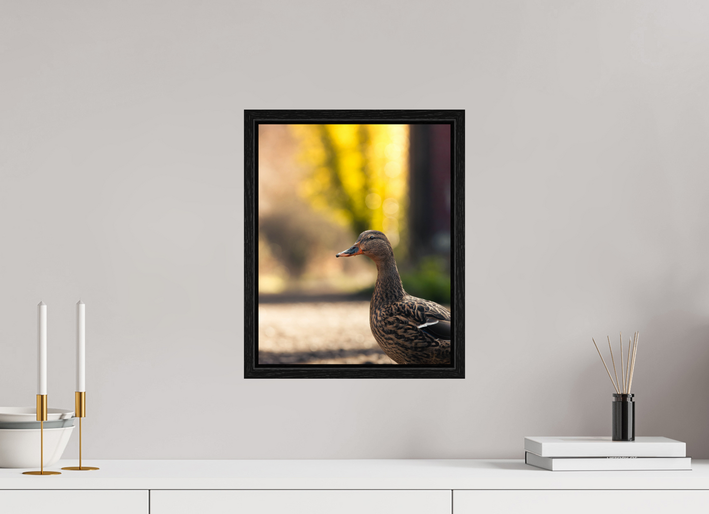 Golden Glow: A Mallard in the Light