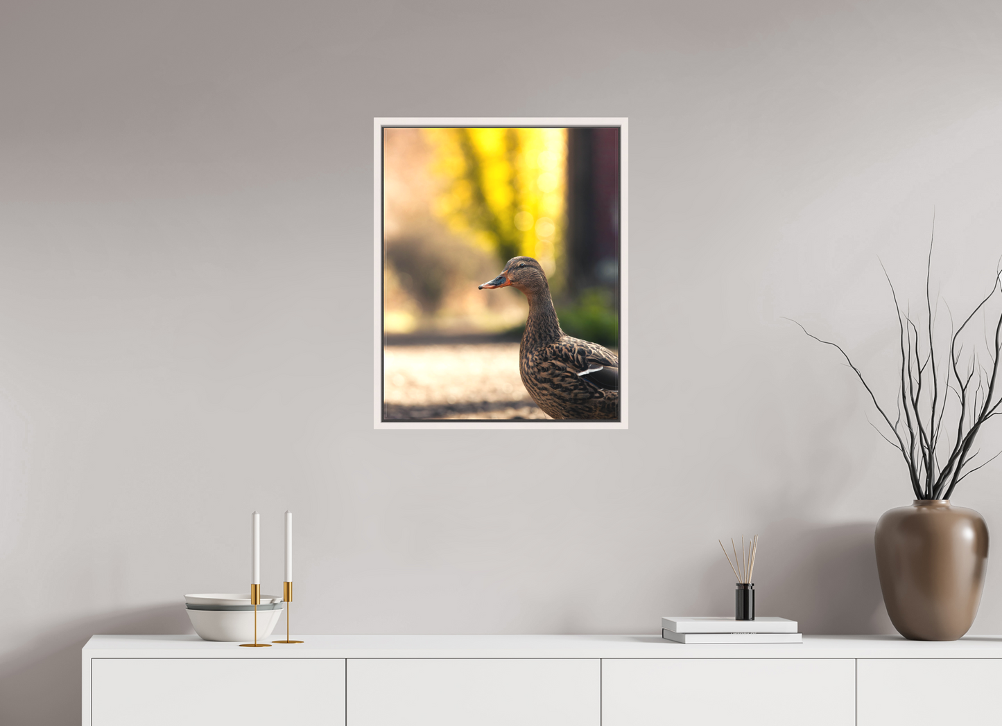 Golden Glow: A Mallard in the Light