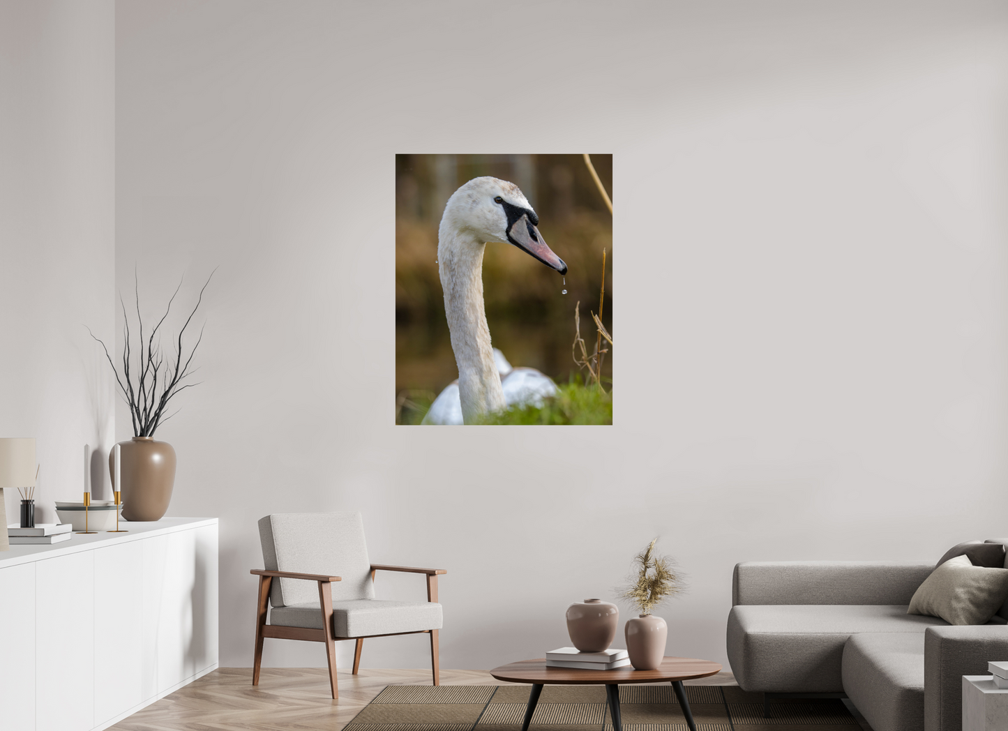 Grace in Motion: The Elegance of a Mute Swan