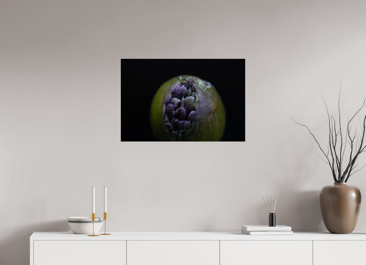 Wild Elegance: Allium in Bloom