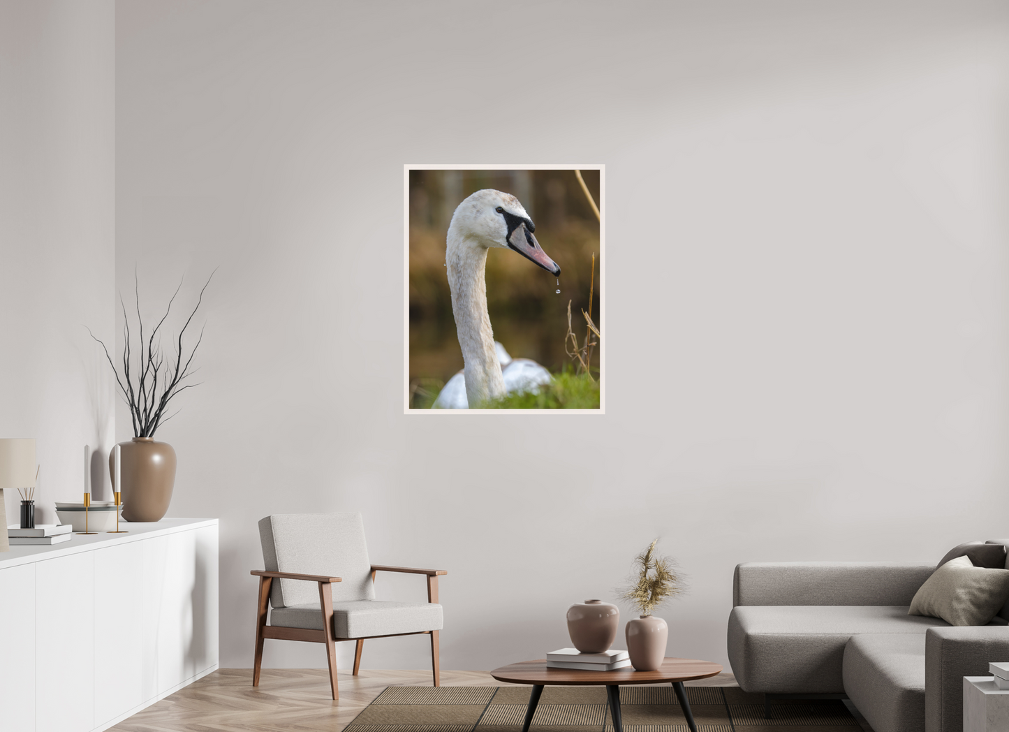 Grace in Motion: The Elegance of a Mute Swan