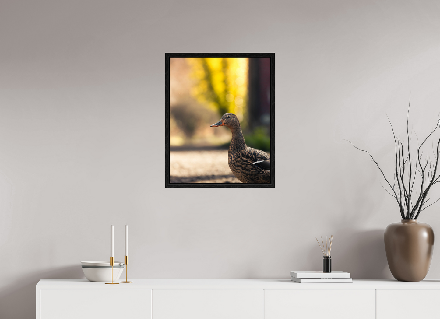 Golden Glow: A Mallard in the Light