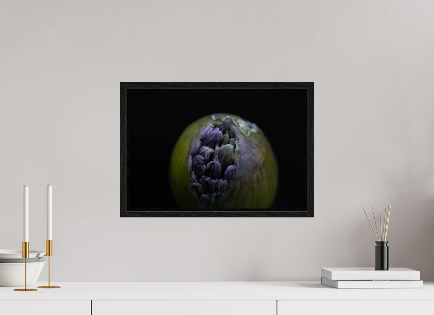 Wild Elegance: Allium in Bloom