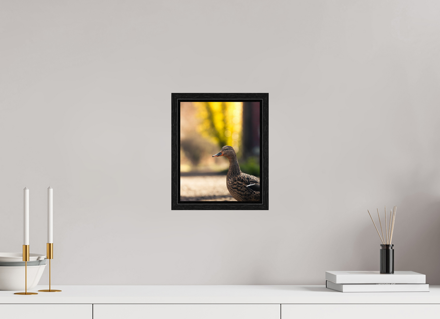 Golden Glow: A Mallard in the Light