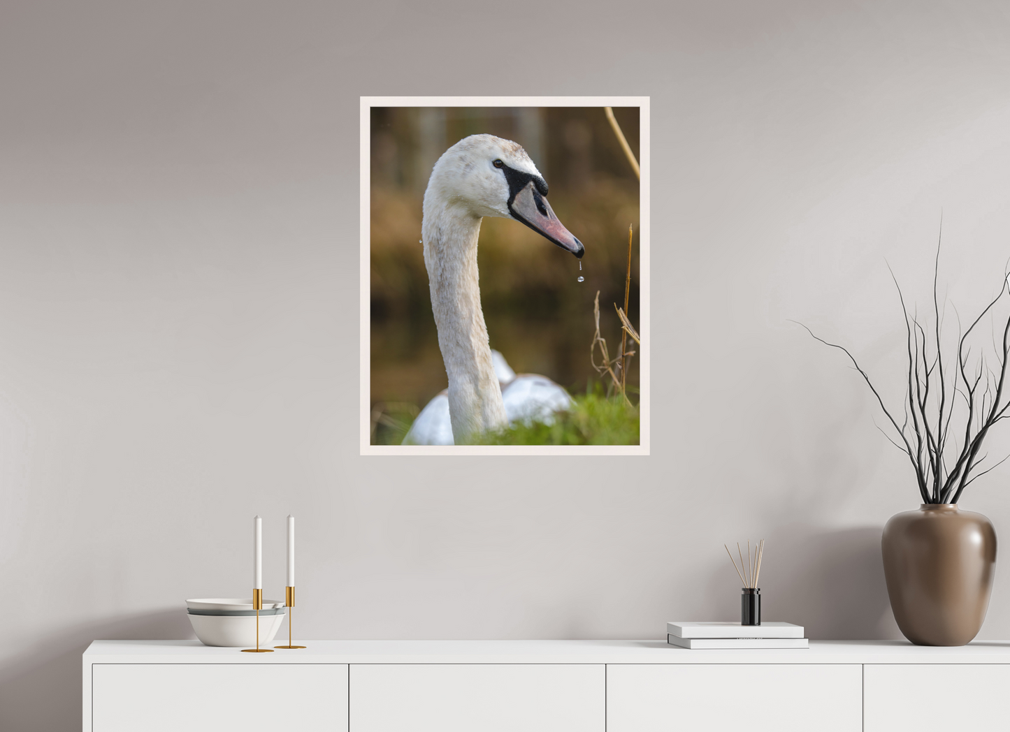 Grace in Motion: The Elegance of a Mute Swan