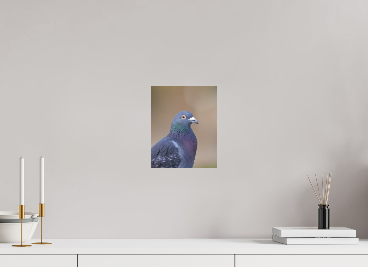 Urban Wild: Pigeon in Bushy Park