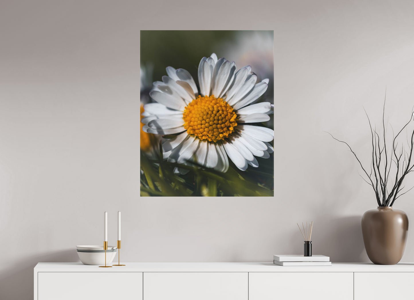 Sunlit Simplicity