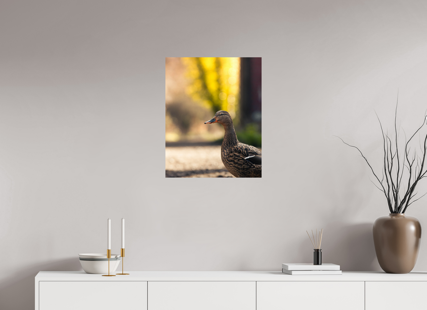 Golden Glow: A Mallard in the Light