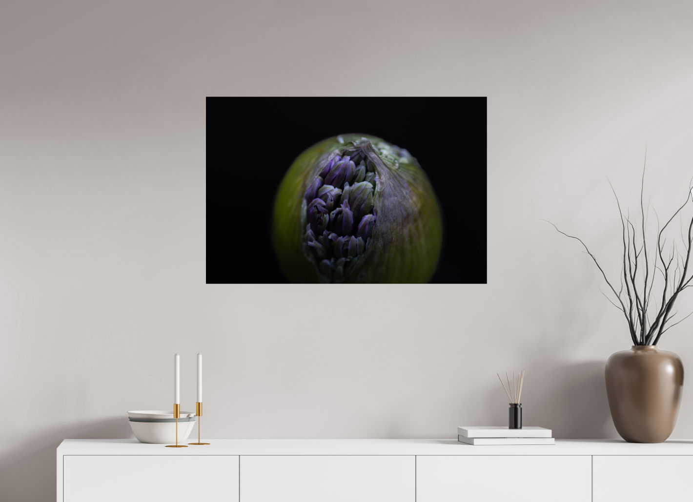 Wild Elegance: Allium in Bloom