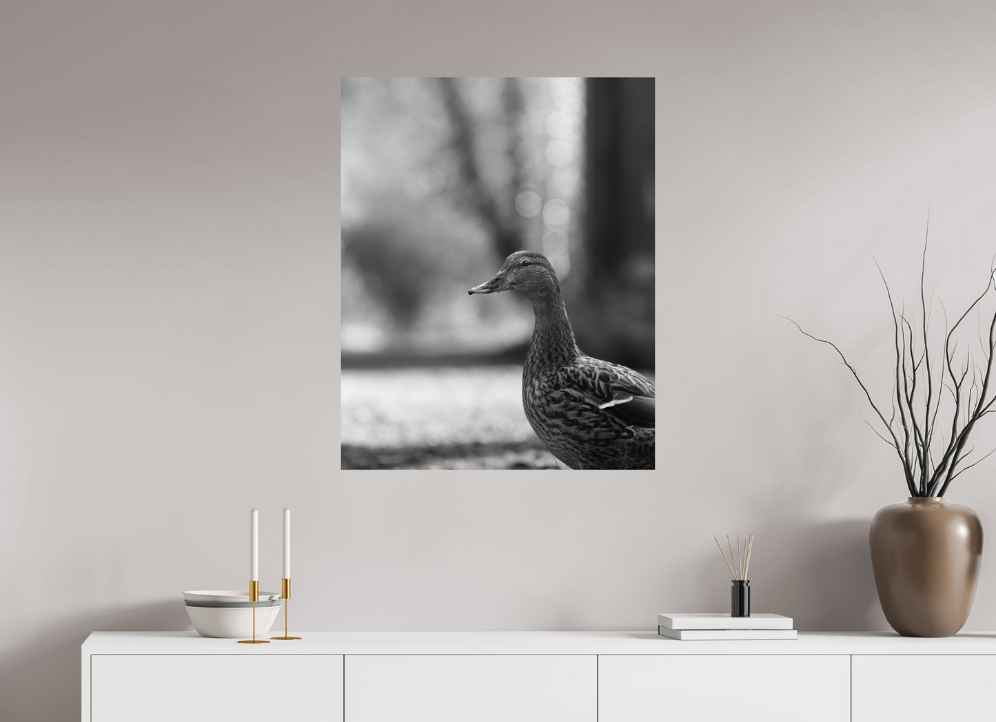 Golden Glow: A Mallard in the Light