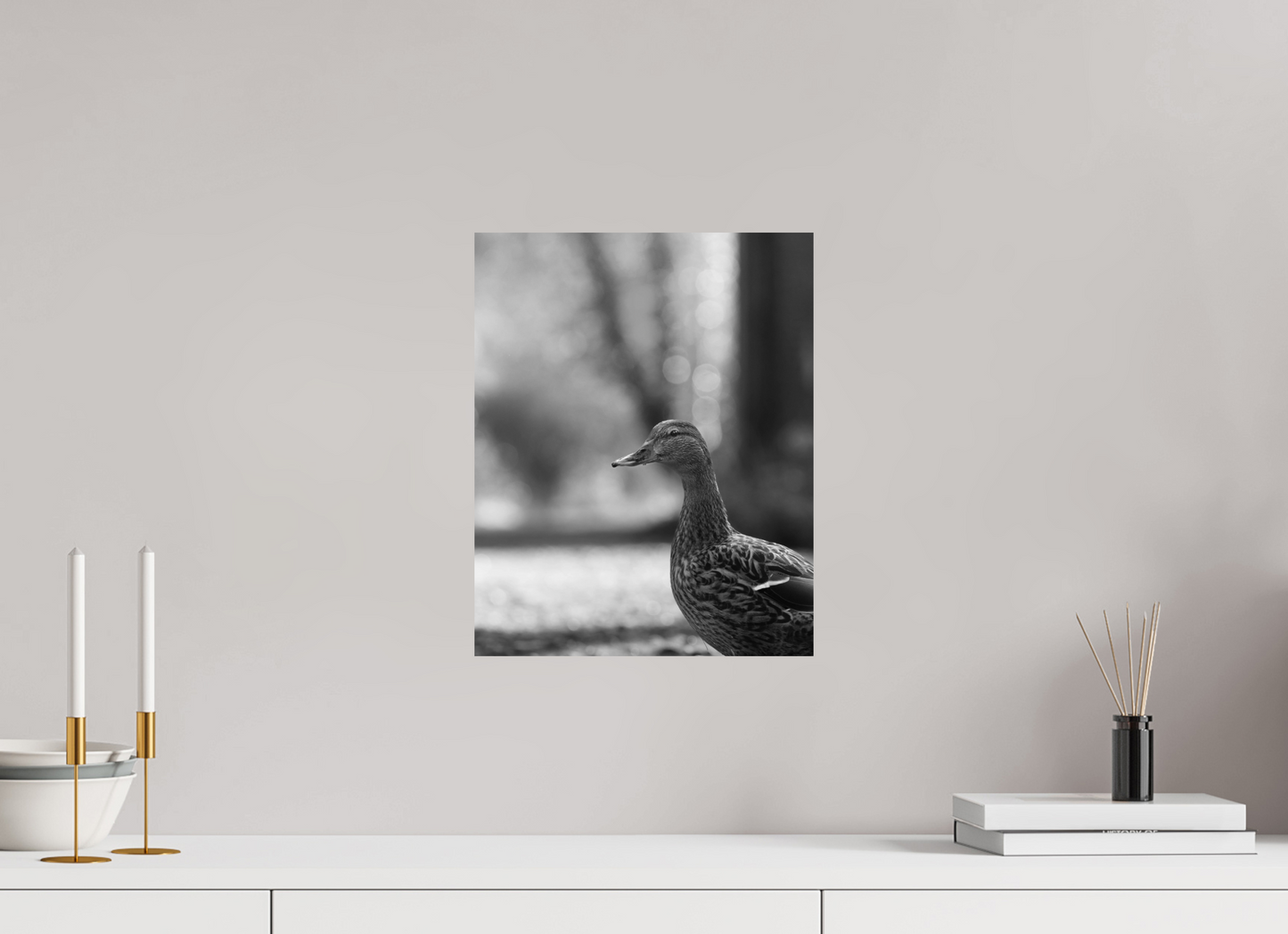 Golden Glow: A Mallard in the Light