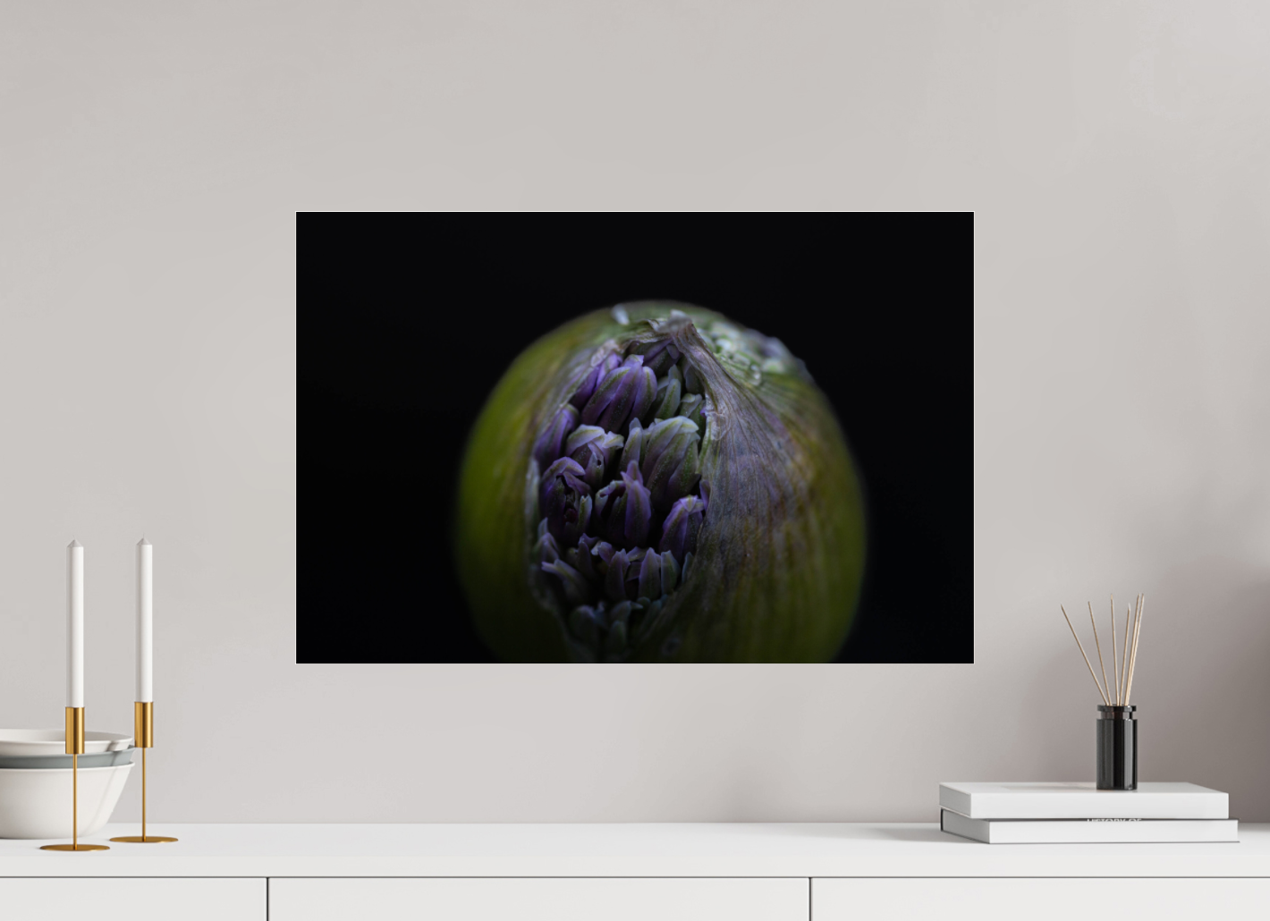 Wild Elegance: Allium in Bloom