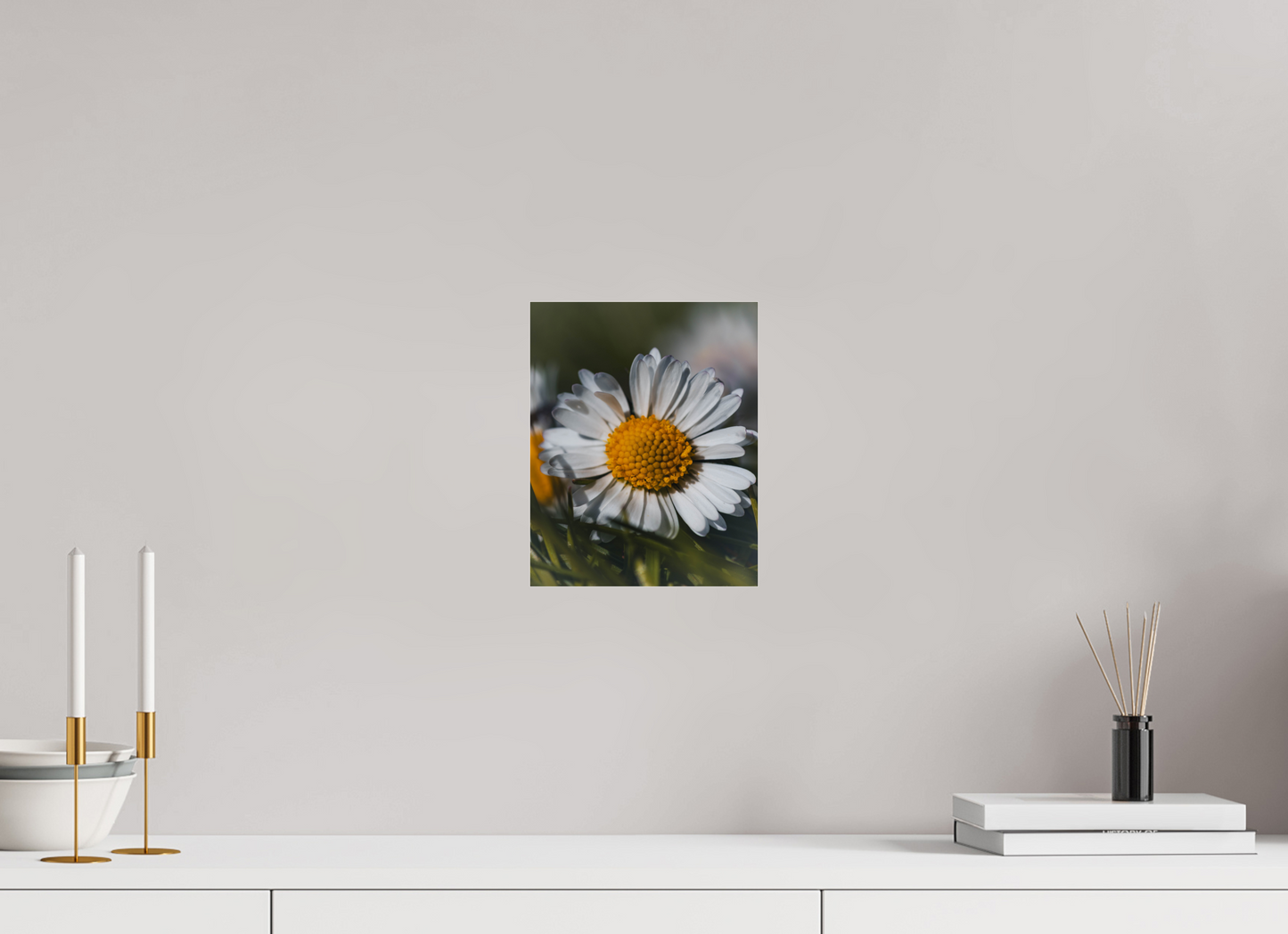 Sunlit Simplicity