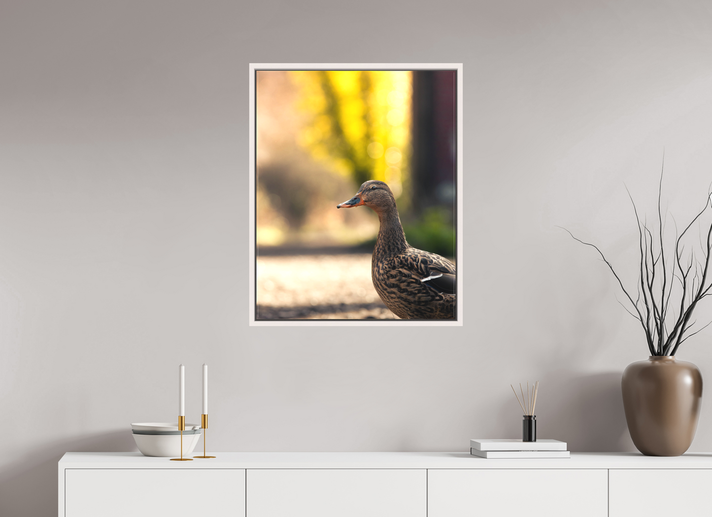 Golden Glow: A Mallard in the Light