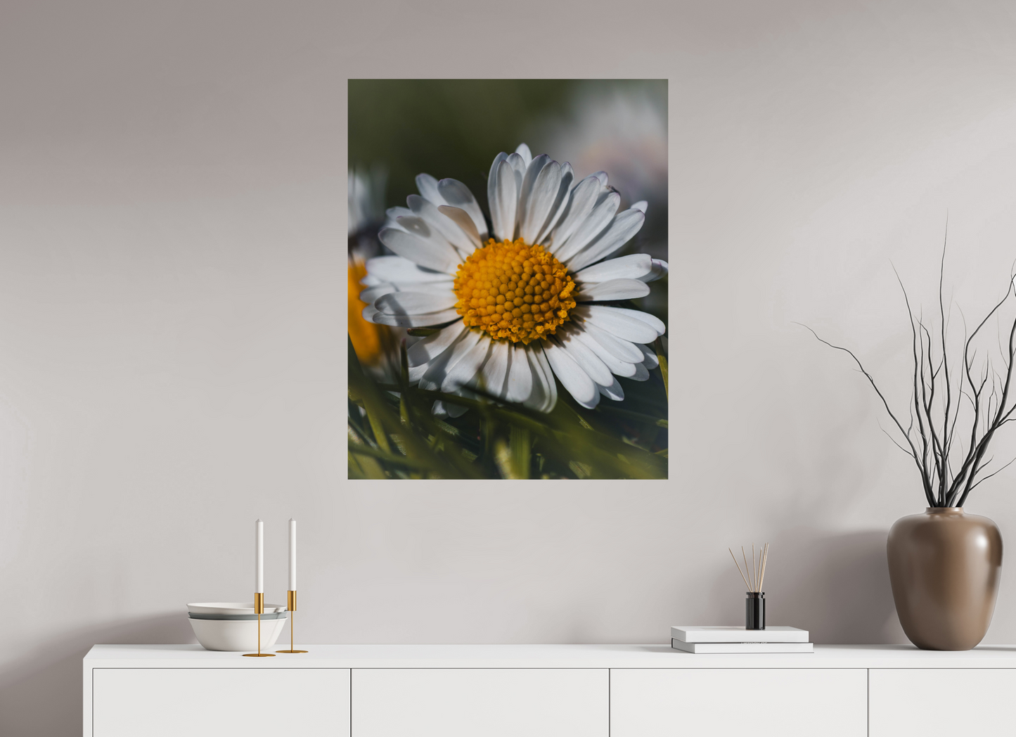 Sunlit Simplicity