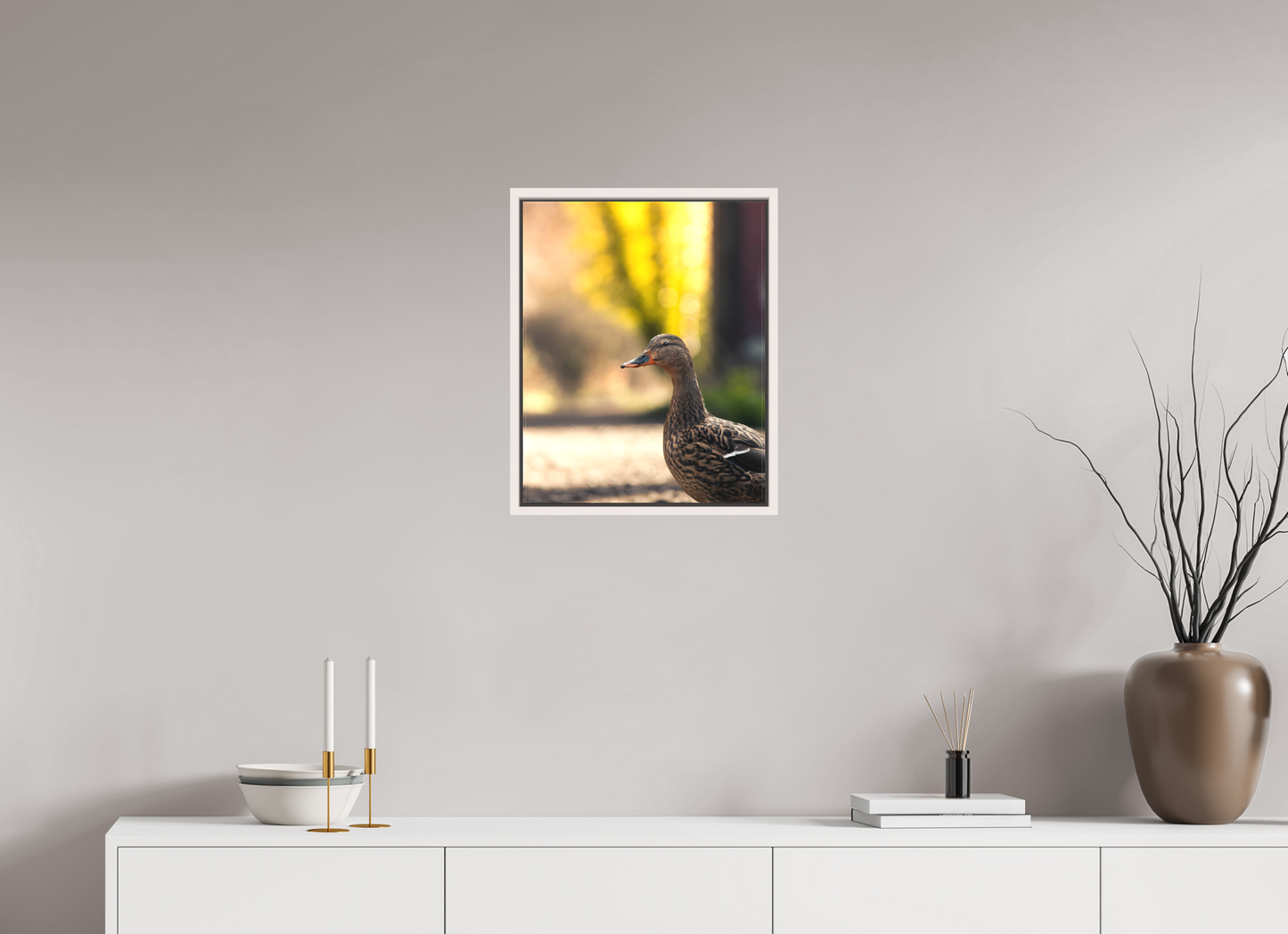 Golden Glow: A Mallard in the Light