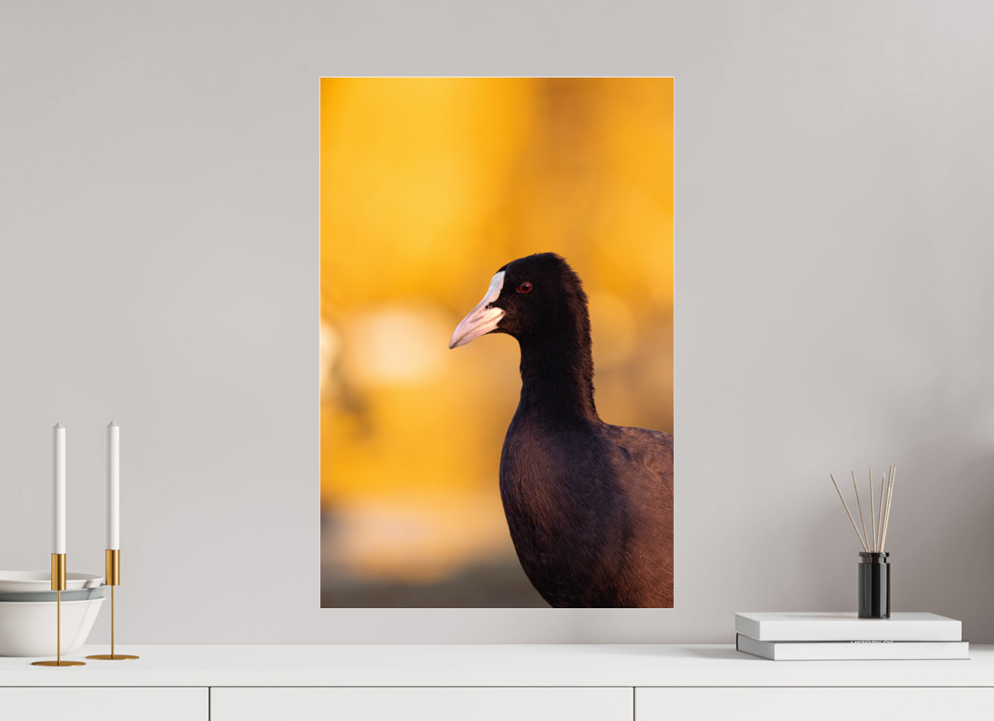 Golden Serenity: A Coot's Portrait