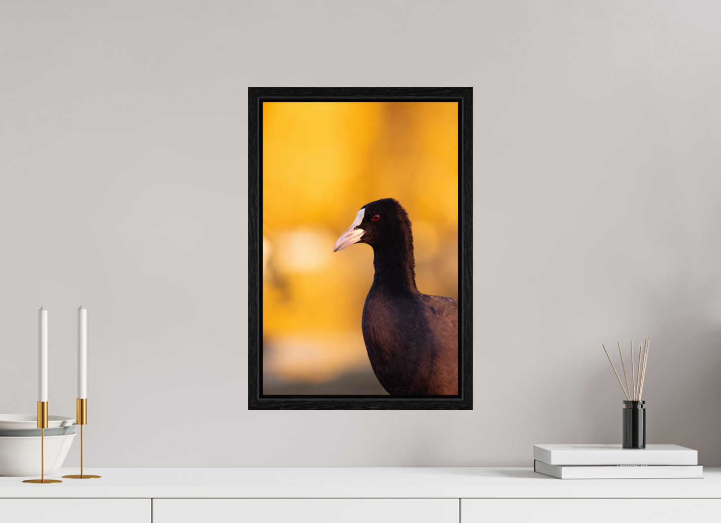 Golden Serenity: A Coot's Portrait