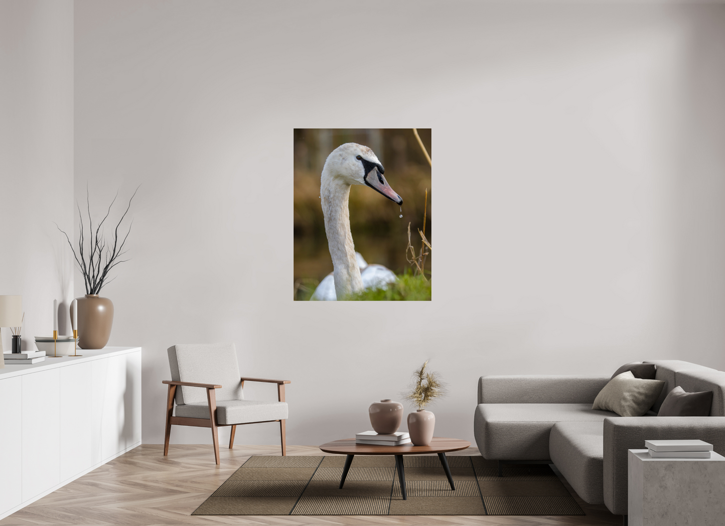Grace in Motion: The Elegance of a Mute Swan