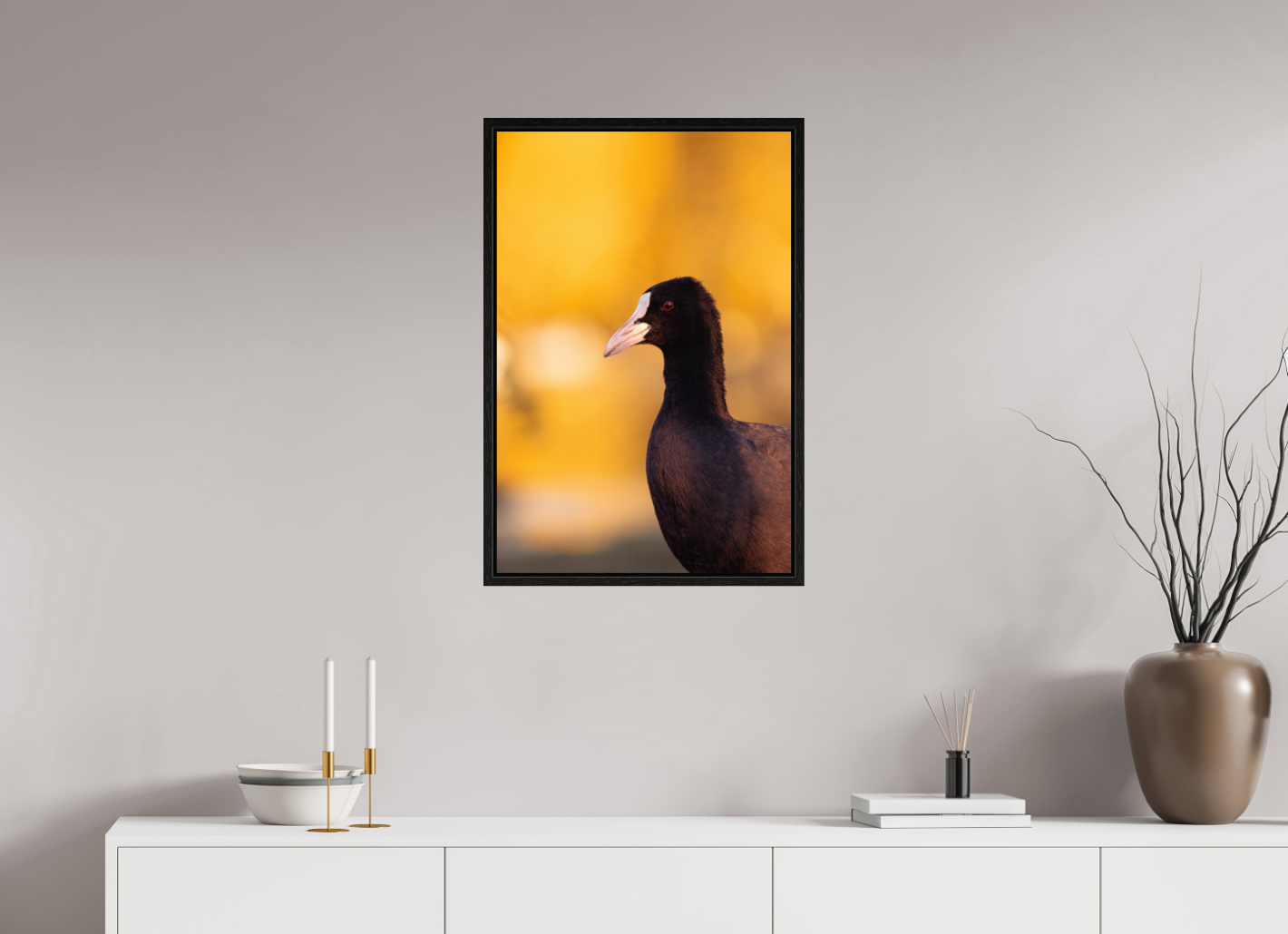 Golden Serenity: A Coot's Portrait