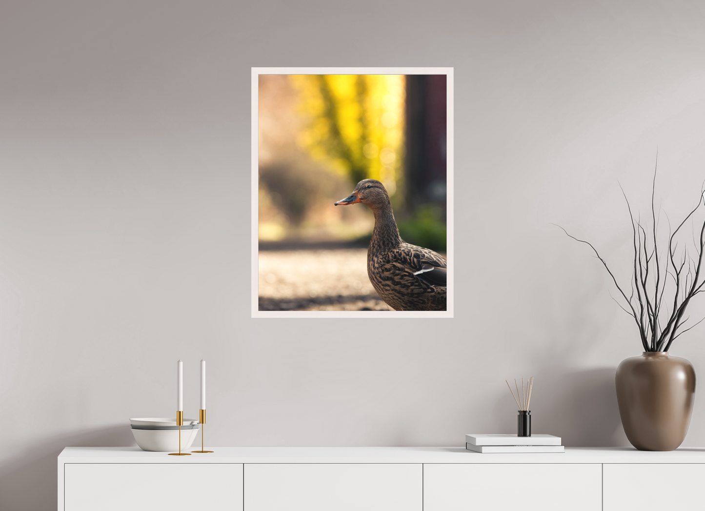 Golden Glow: A Mallard in the Light