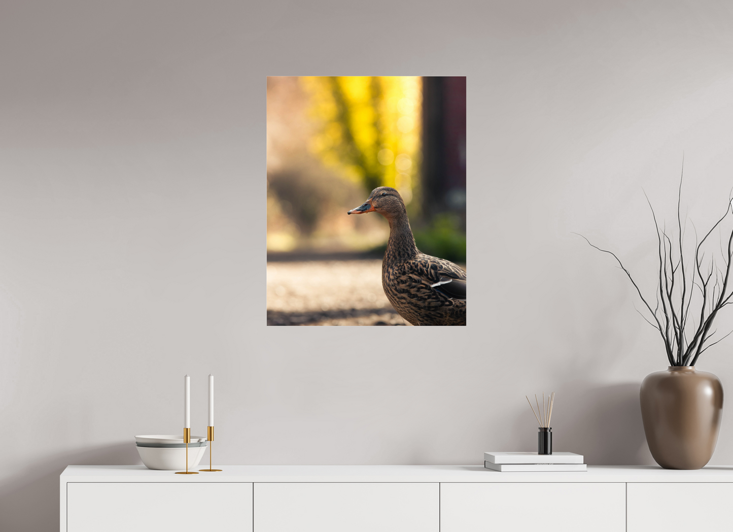 Golden Glow: A Mallard in the Light