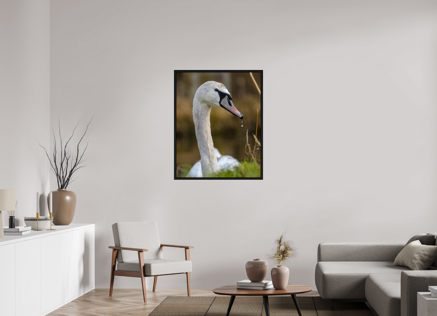 Grace in Motion: The Elegance of a Mute Swan