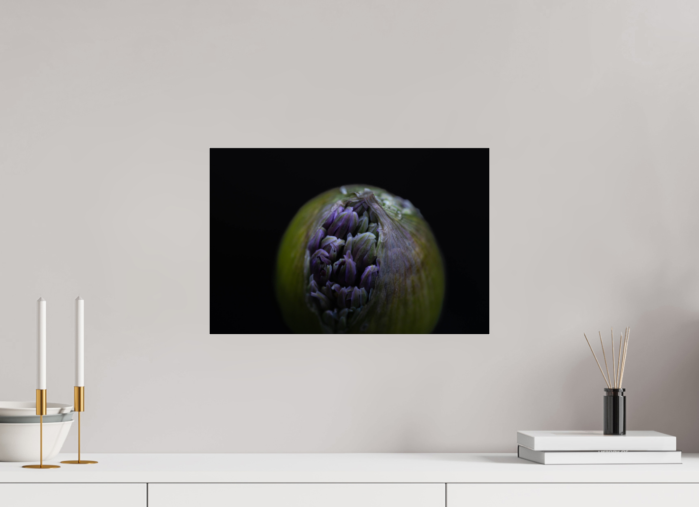 Wild Elegance: Allium in Bloom