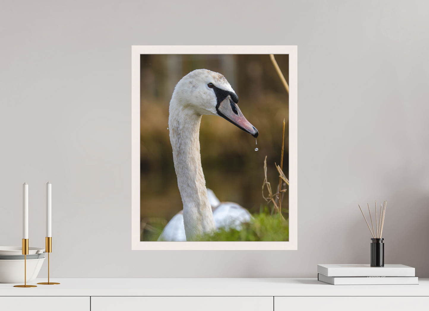 Grace in Motion: The Elegance of a Mute Swan