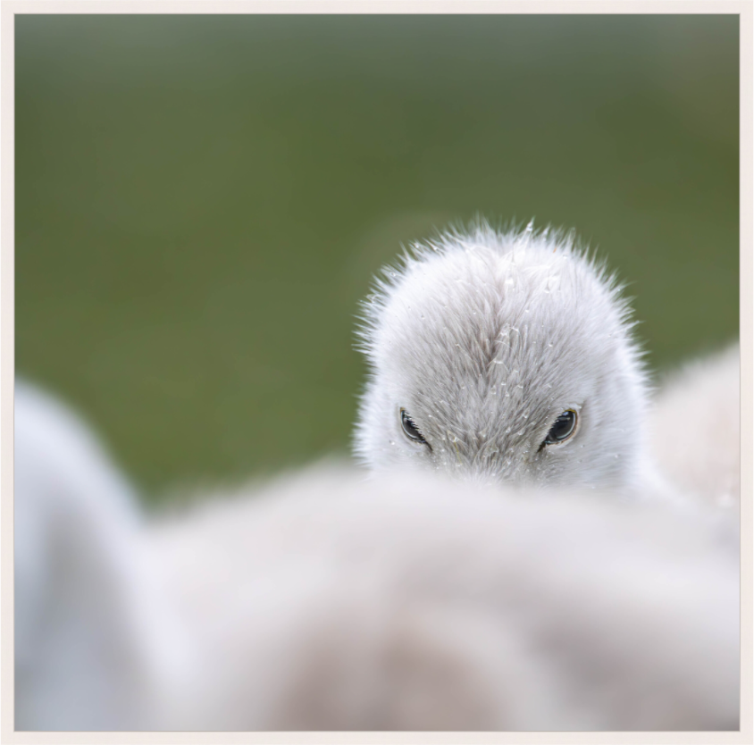 Grace Begins Small