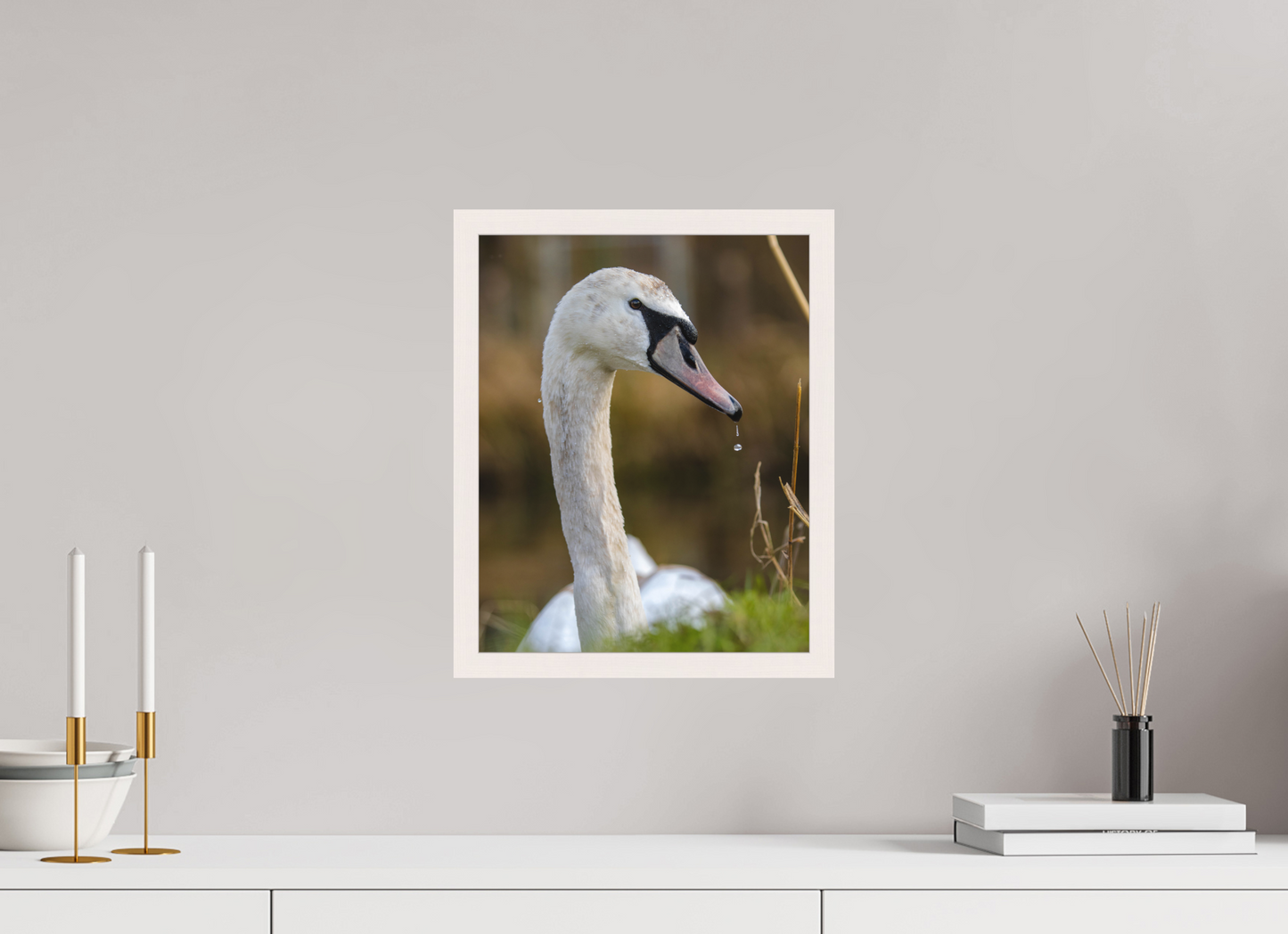 Grace in Motion: The Elegance of a Mute Swan
