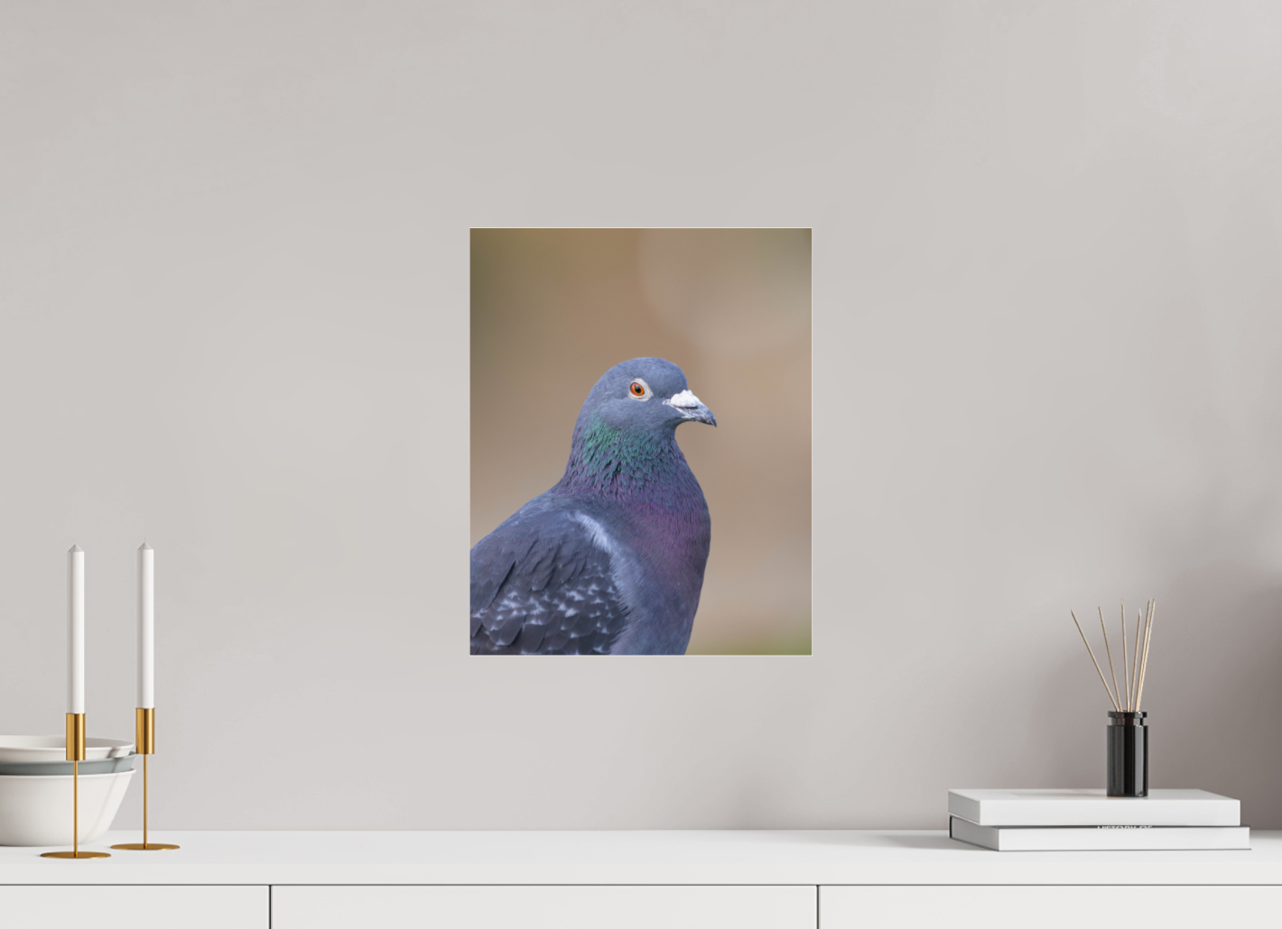 Urban Wild: Pigeon in Bushy Park
