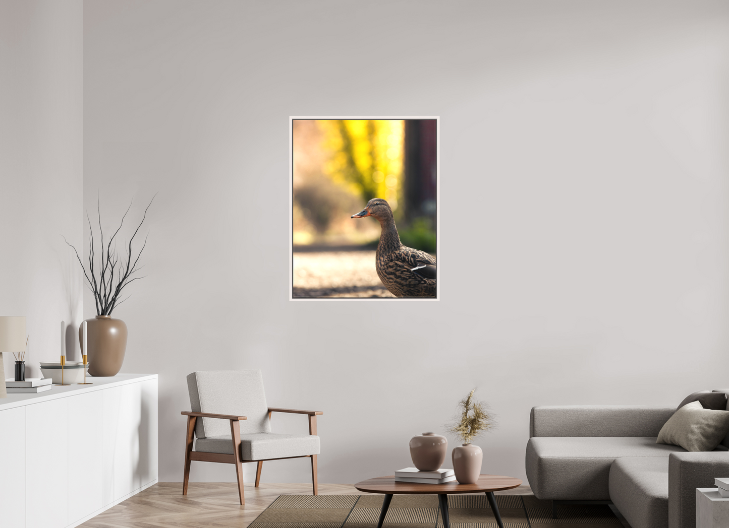 Golden Glow: A Mallard in the Light