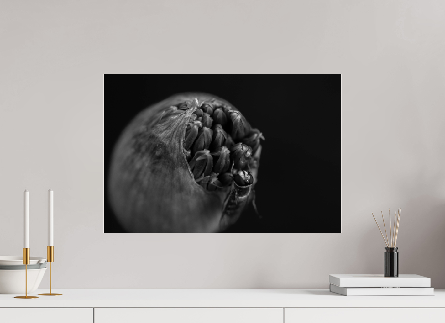 Monochrome Grace: Allium & Hoverfly